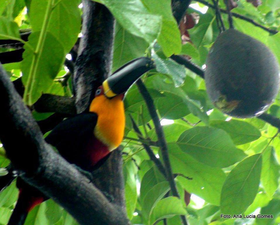Rio Nature Hostel Rio de Janeiro Bagian luar foto