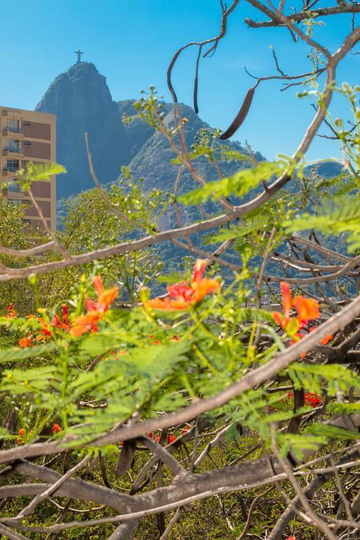 Rio Nature Hostel Rio de Janeiro Ruang foto