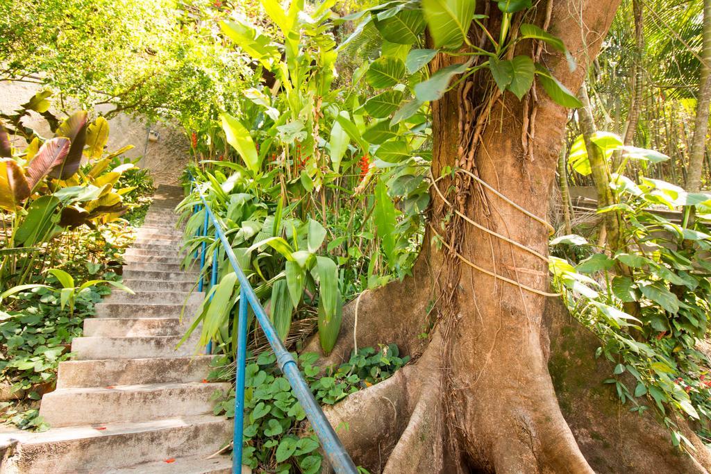 Rio Nature Hostel Rio de Janeiro Bagian luar foto